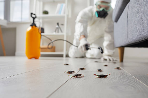 Commercial Kitchen Cockroach Control in Point Pleasant Beach